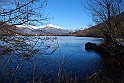 Lago Piccolo di Avigliana ghiacciato_042